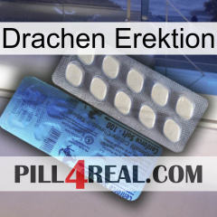 Dragon Erection 34